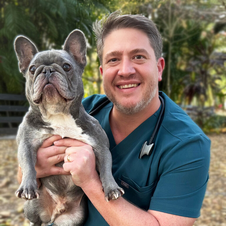 Veterinary Surgery Group - Modern Pet Surgery for the Treasure Coast ...