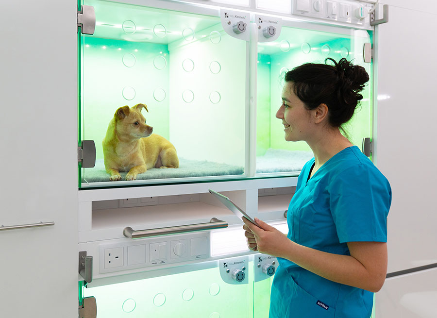 well-kennels-900px-1
