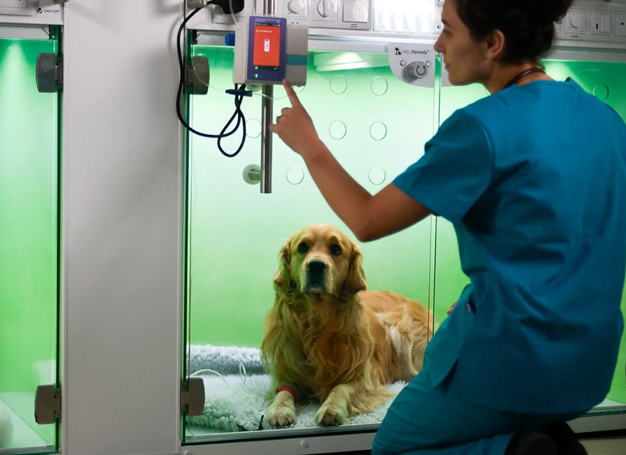 well-kennels-900px-4